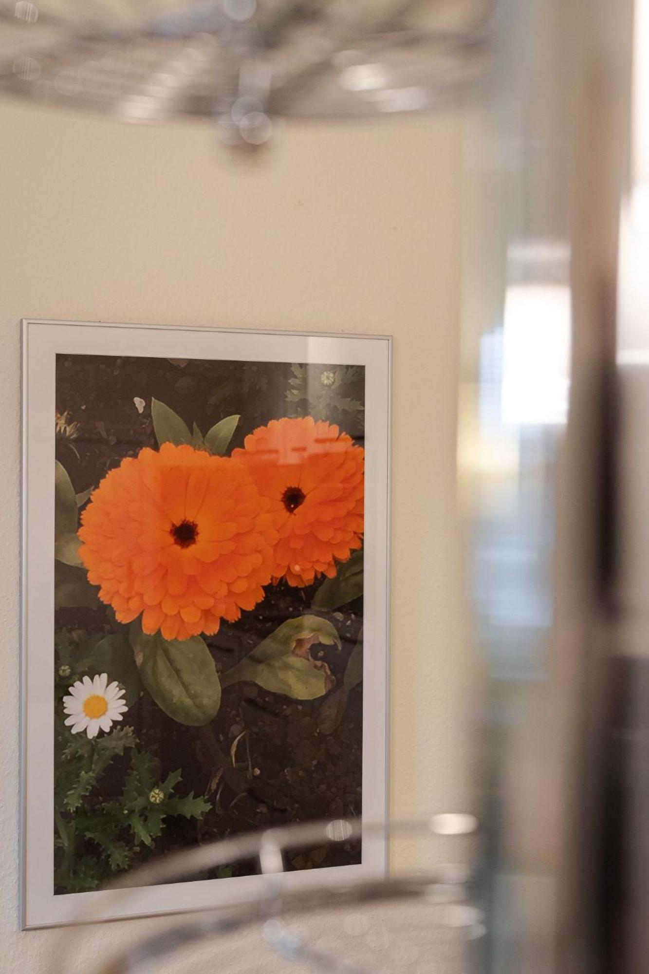 Fewo Ringelblume List Dış mekan fotoğraf